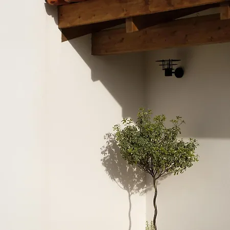 Casa Da Milheira - Panzió Oliveira de Azemeis