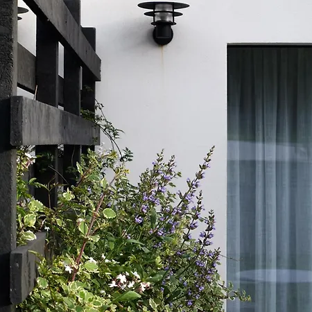 Casa Da Milheira - *