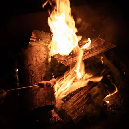 Casa Da Milheira - Bed & Breakfast Oliveira de Azemeis