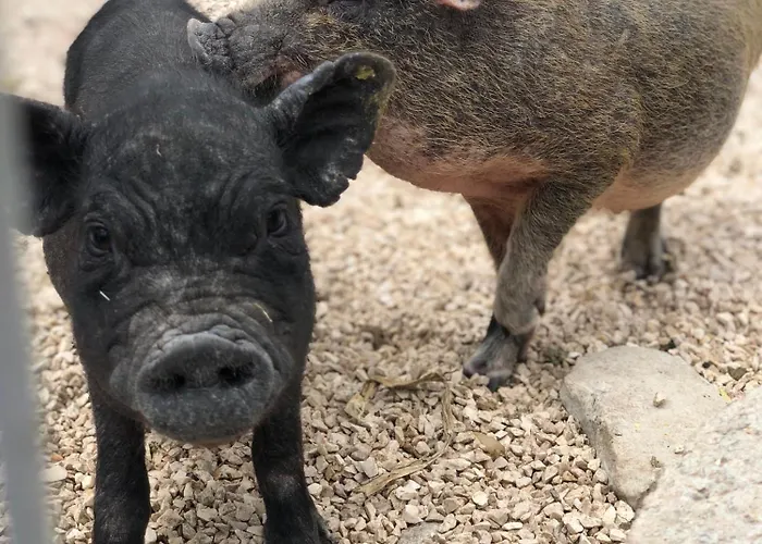 Casa Da Milheira - Nocleg ze śniadaniem 3*