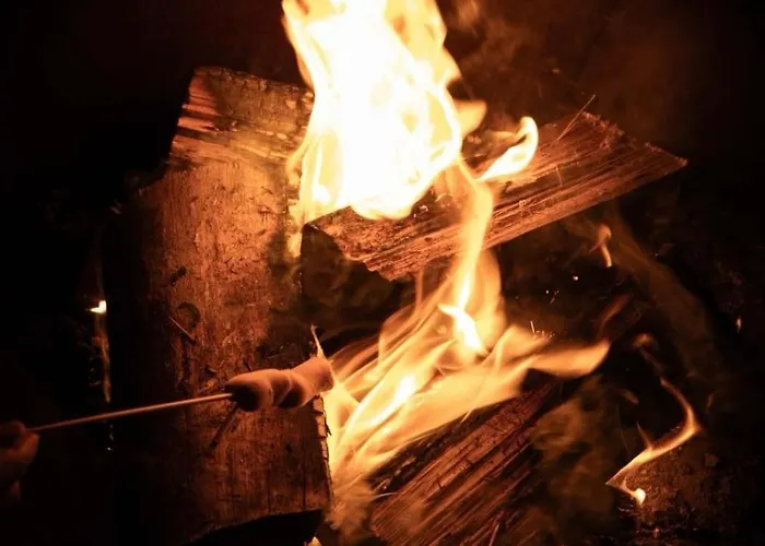 Casa Da Milheira - Nocleg ze śniadaniem Oliveira de Azeméis